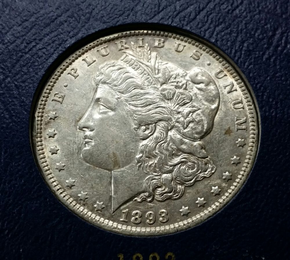 7x-Morgans-For-PCGS