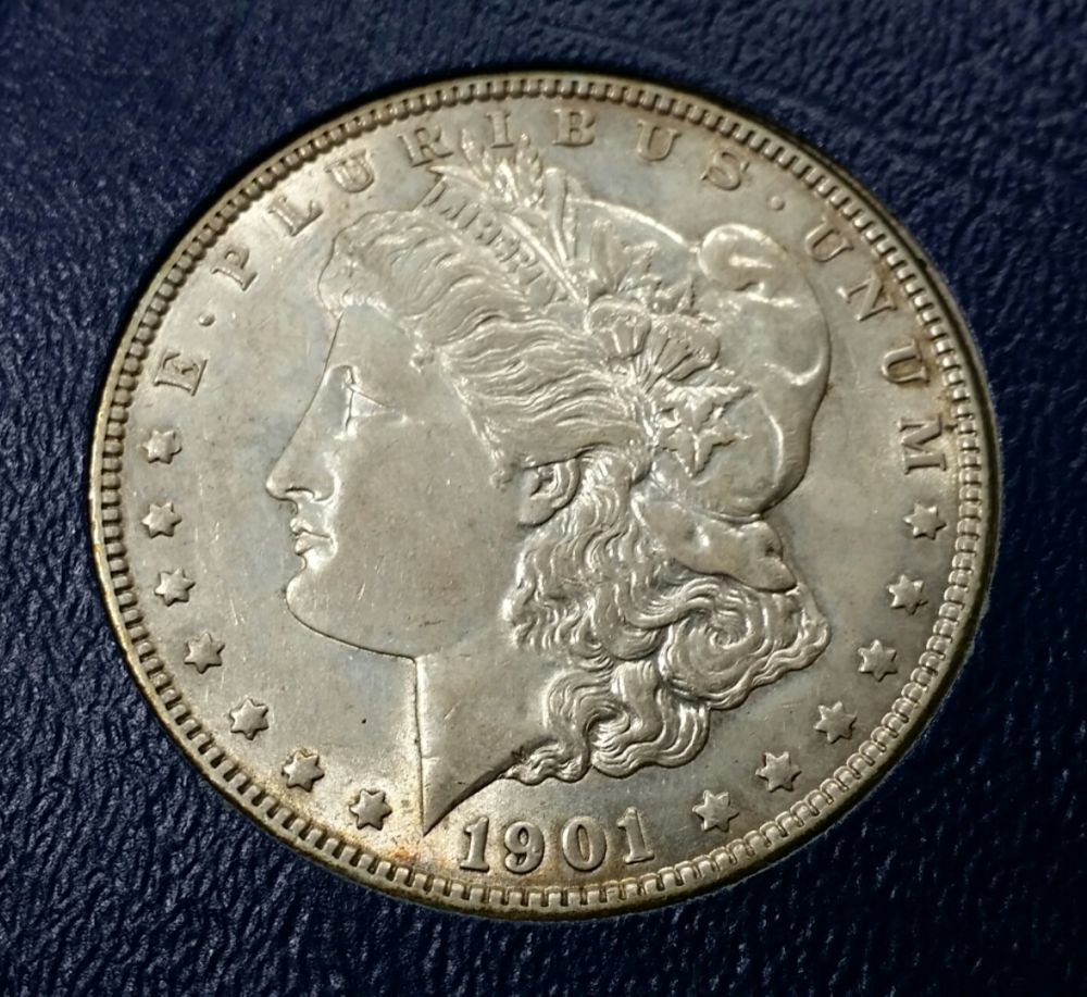7x-Morgans-For-PCGS