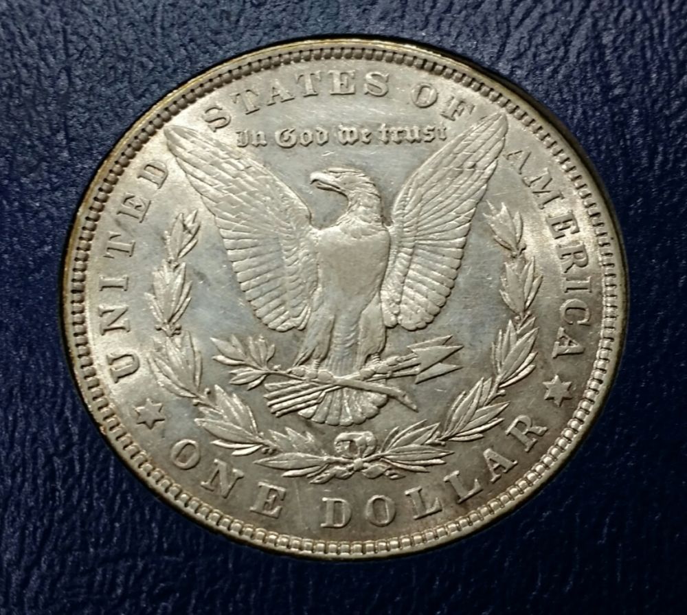 7x-Morgans-For-PCGS
