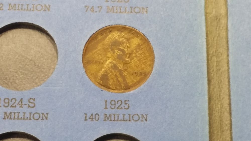 Just-Got-Back-From-An-Auction...