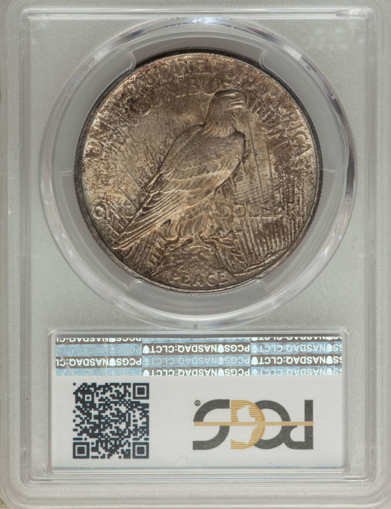 My-New-1921-Peace-Dollar-Toned-MS-64-PCGS-Cac-Nice-Pickup!
