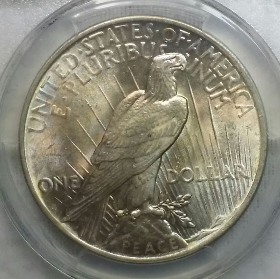 The-11-Days-Of-Peace-Dollars-Part-2!