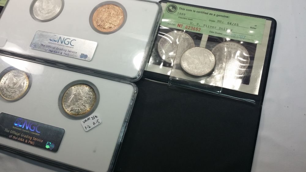 Long-Beach-Expo...-My-Pickups