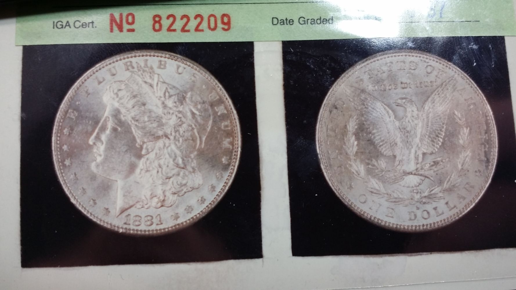 2-Morgan-Dollars-In-Old-Iga-