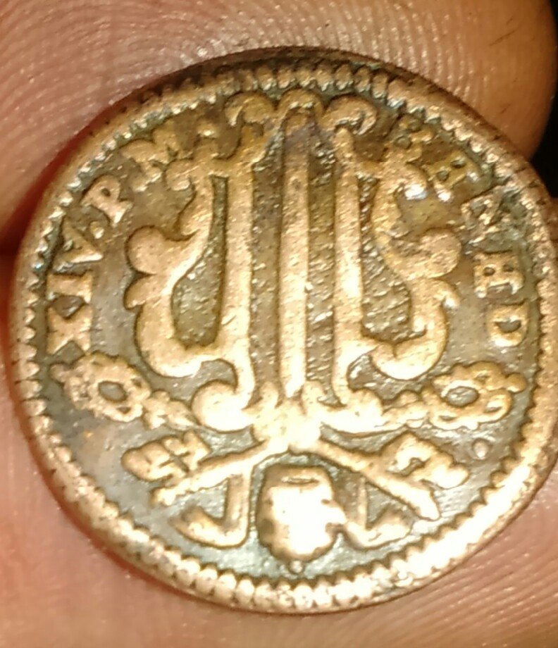 Possible-Paal-Coin-Id.-Real?