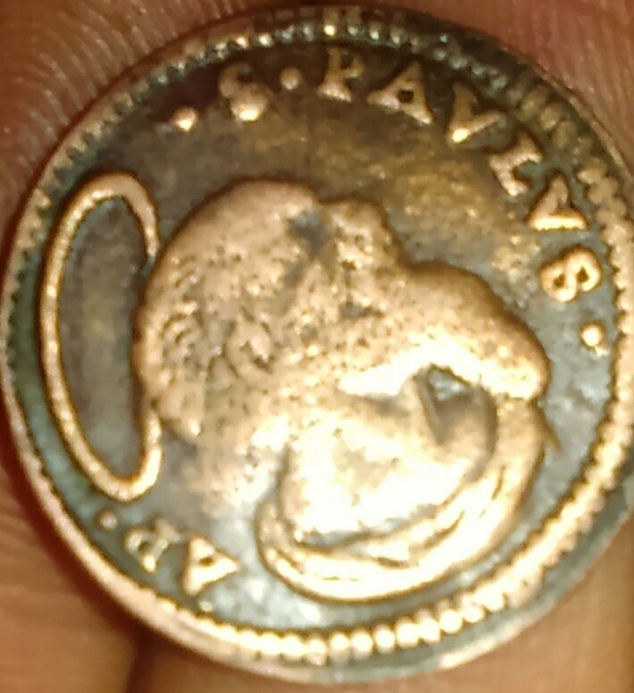 Possible-Paal-Coin-Id.-Real?