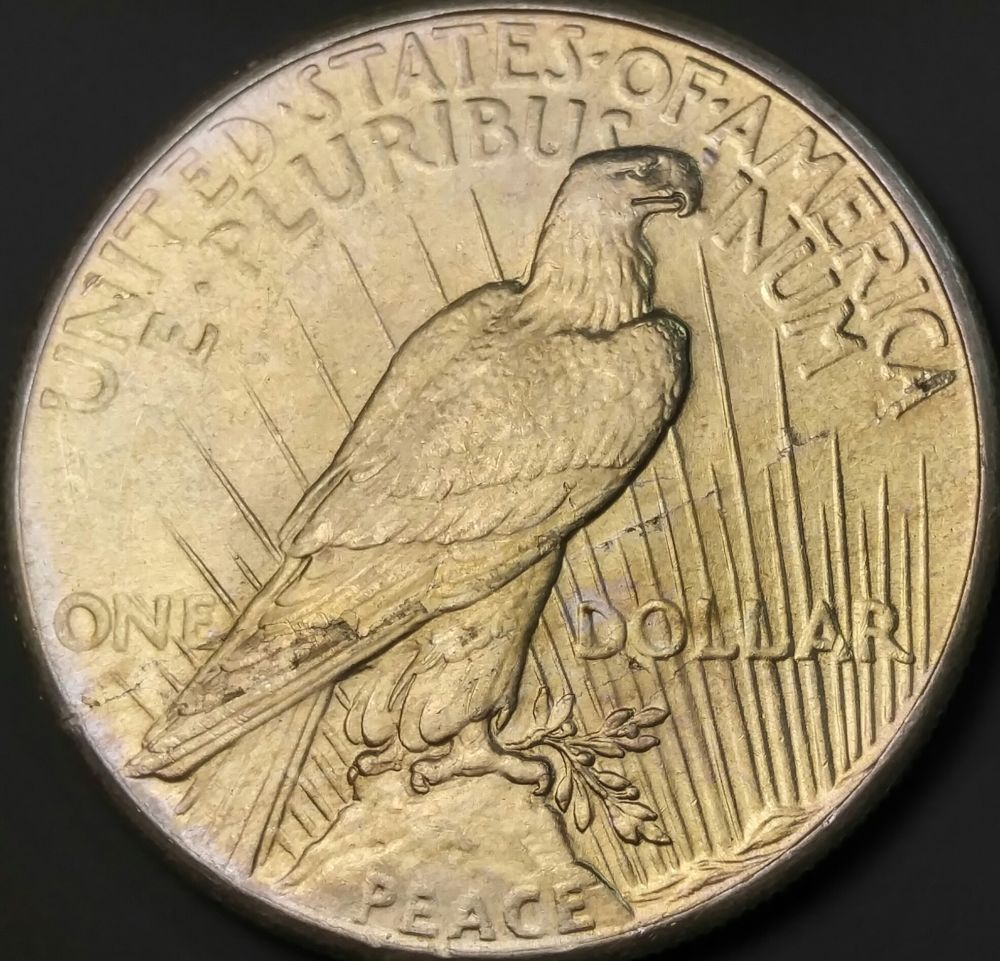Post-Your-Latest-Peace-Dollar-Aquisition