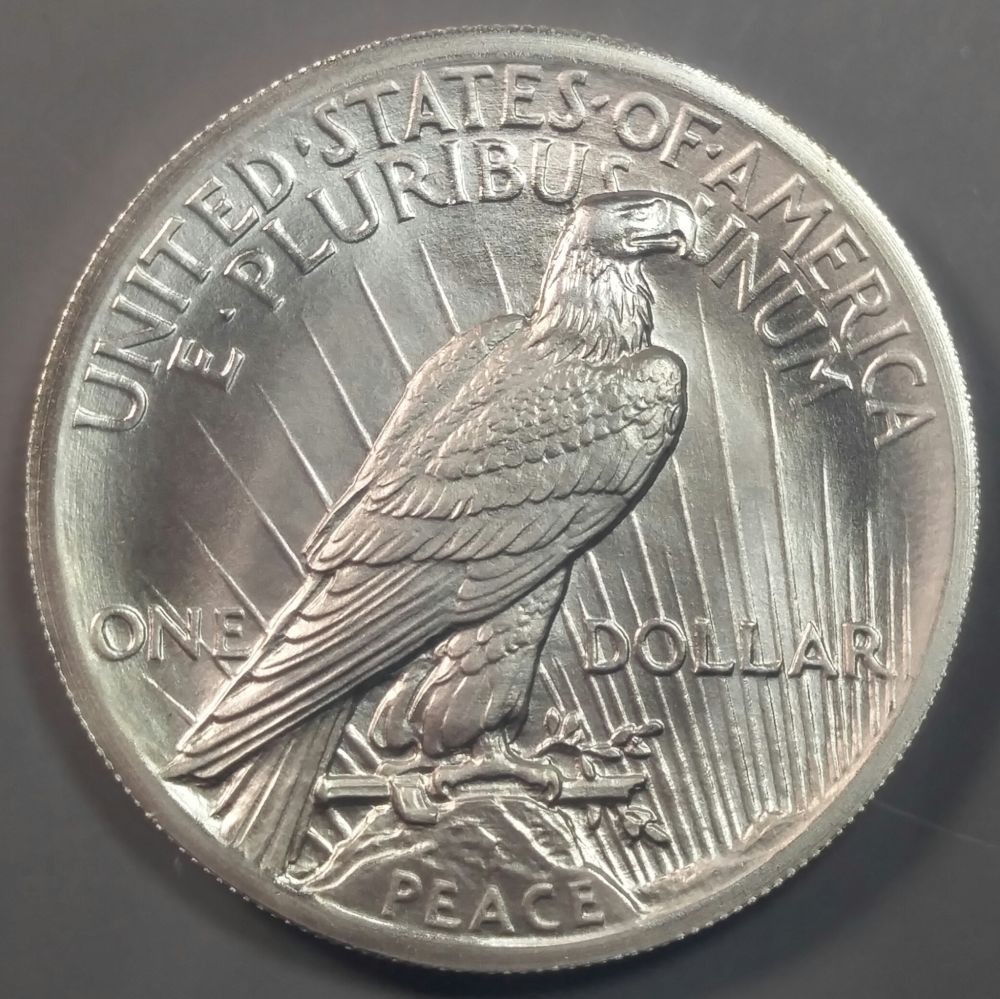 New...-Dan-Carr-1964-Morgan-Dollars!