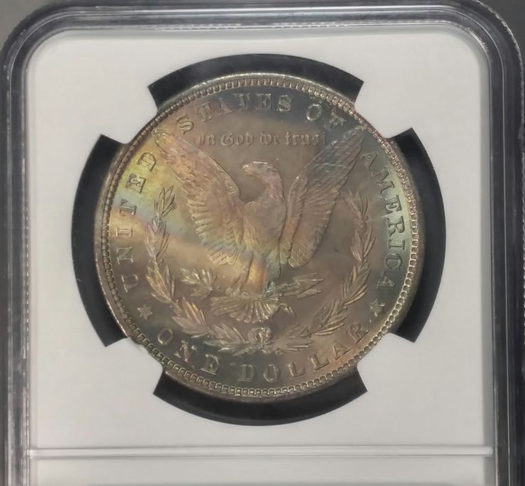 Continuing-List-To-Show-Everyones-Latest-Acquisitions