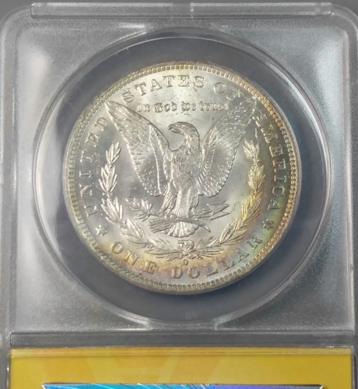 Continuing-List-To-Show-Everyones-Latest-Acquisitions