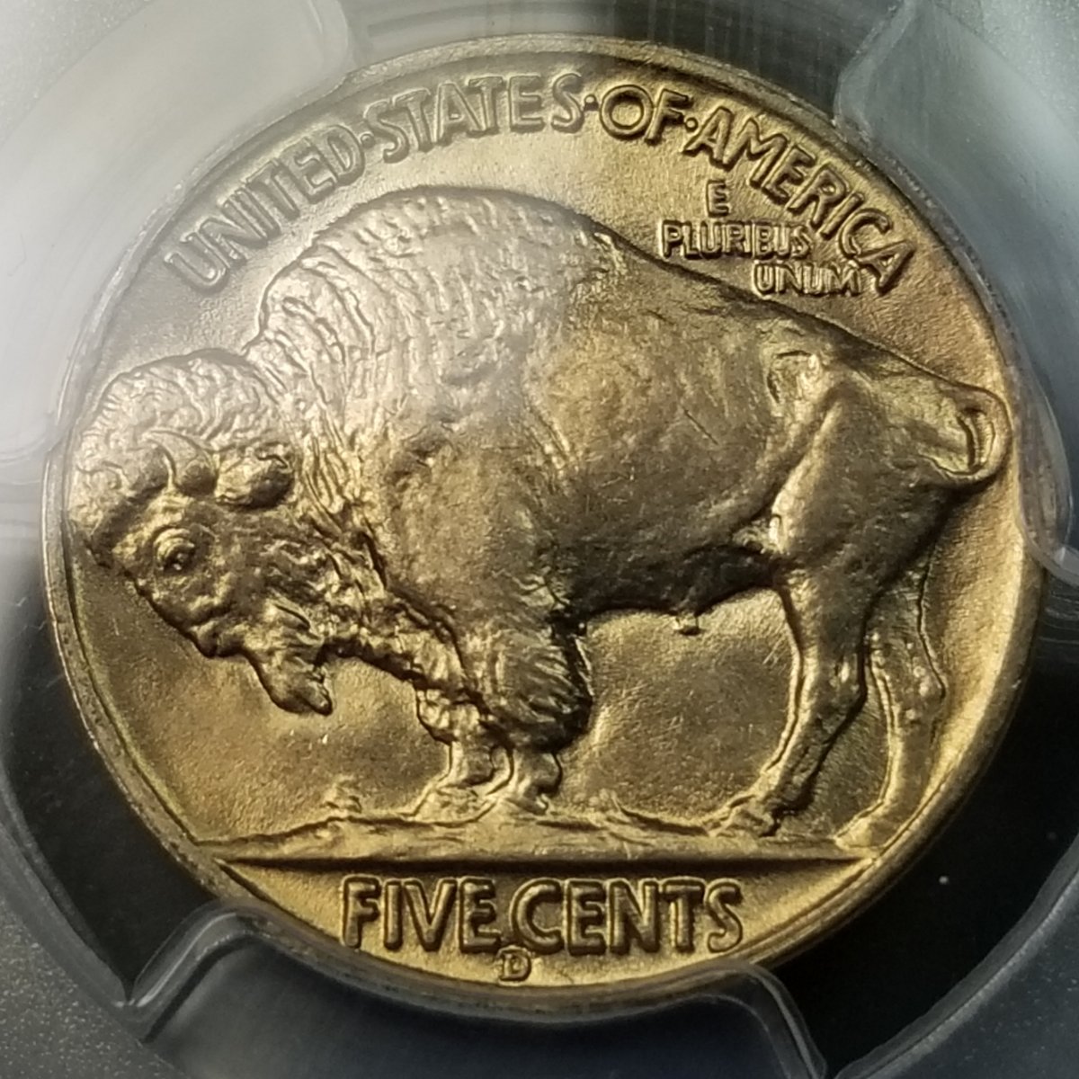 38-D-Buff...-New-D/D-Or-D/S-Opinions