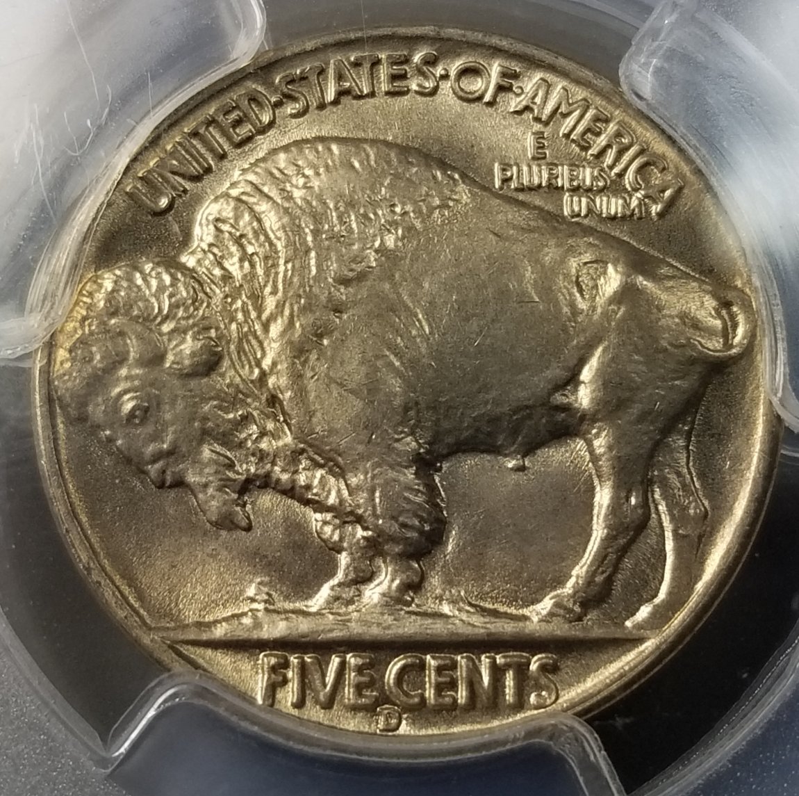 38-D-Buff...-New-D/D-Or-D/S-Opinions