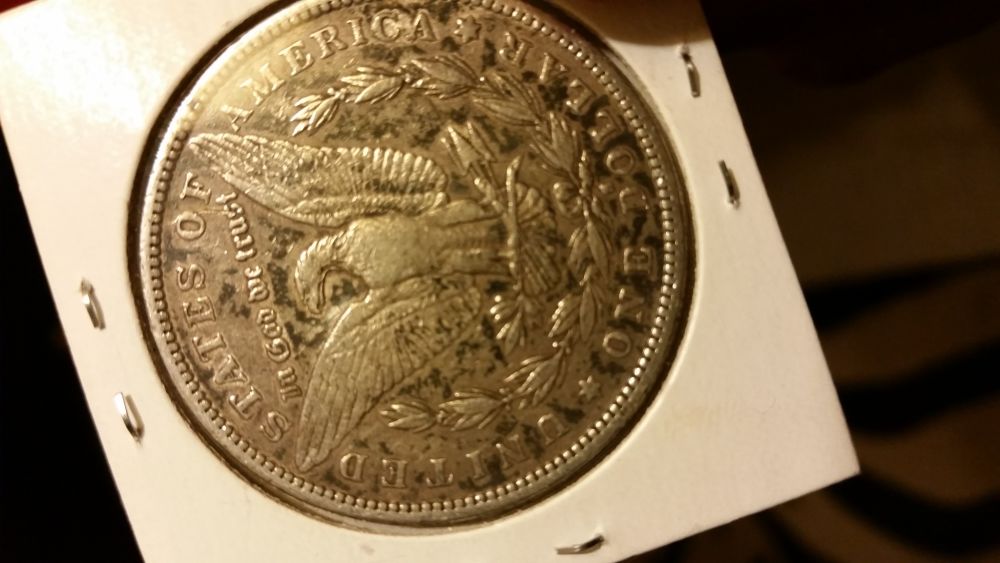 1883-S-Morgan-Dollar-What-Grade-Does-She-Deserve.