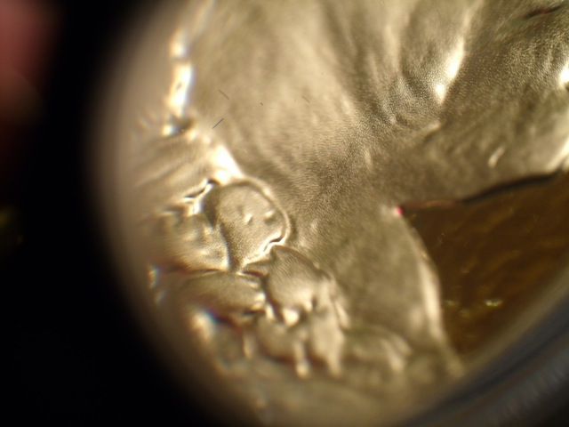 2006-1-Oz.-$50-Proof-Am.-Buffalo-Weird-Red-Spots