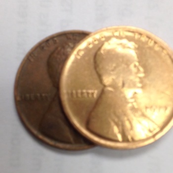 Shiny-Gold-1917-Wheat