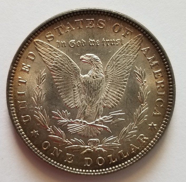 1882-Morgan-Dollar-For-Grading
