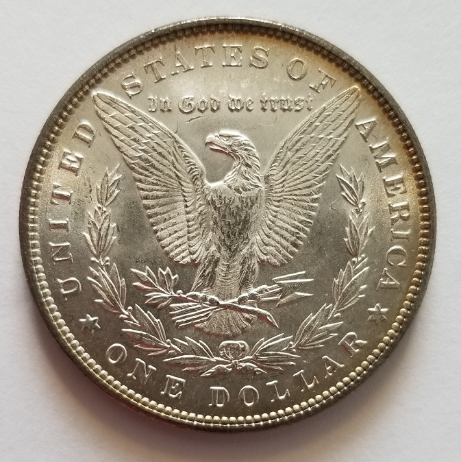 1889-Morgan-Dollar-For-Grading