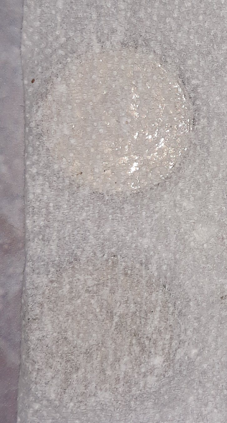 Guam-Quarter-Sounds-Like-Silver