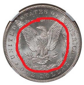 1891-CC-Morgan-Dollar