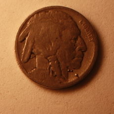 Buffalo-Nickel-In-Change...