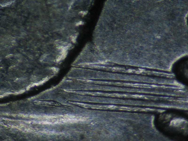 1978-Nickel-Dollar-Broken-Water-Line