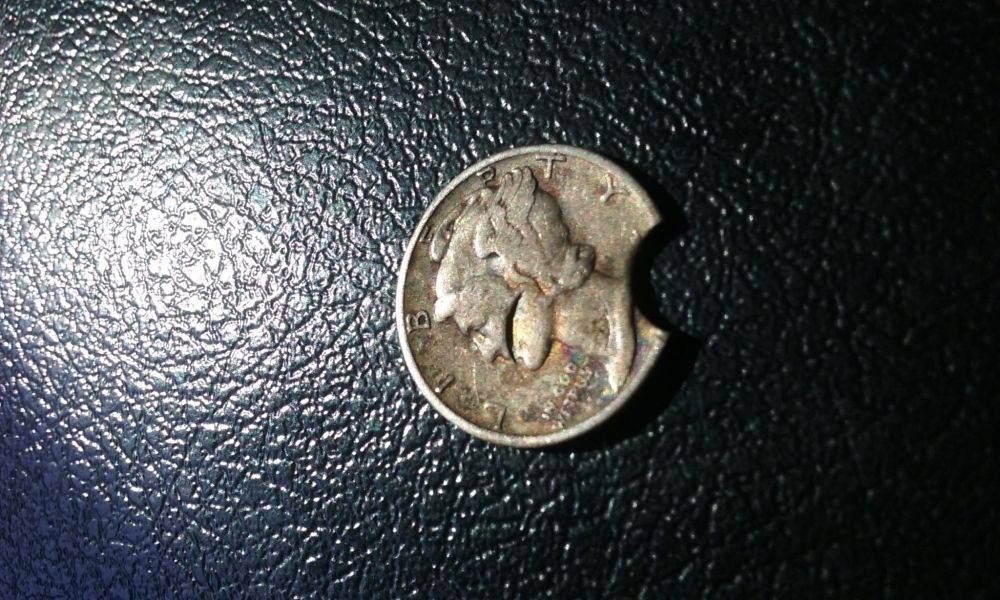 Found-This-Beauty-Today-But-I'm-Not-100%-Sure-What-It-Is