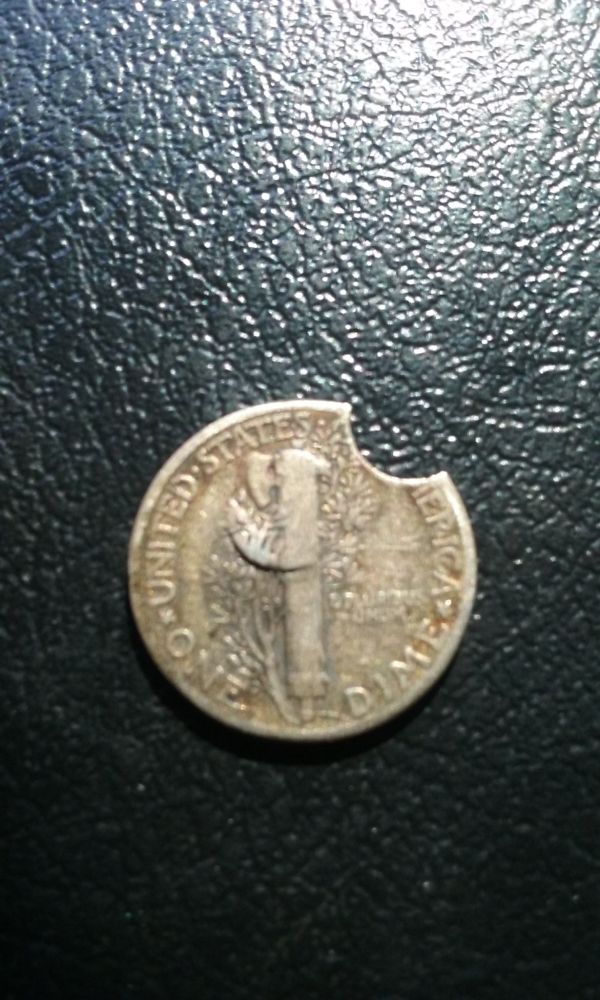 Found-This-Beauty-Today-But-I'm-Not-100%-Sure-What-It-Is