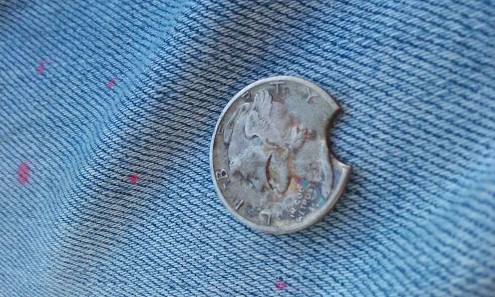 Found-This-Beauty-Today-But-I'm-Not-100%-Sure-What-It-Is