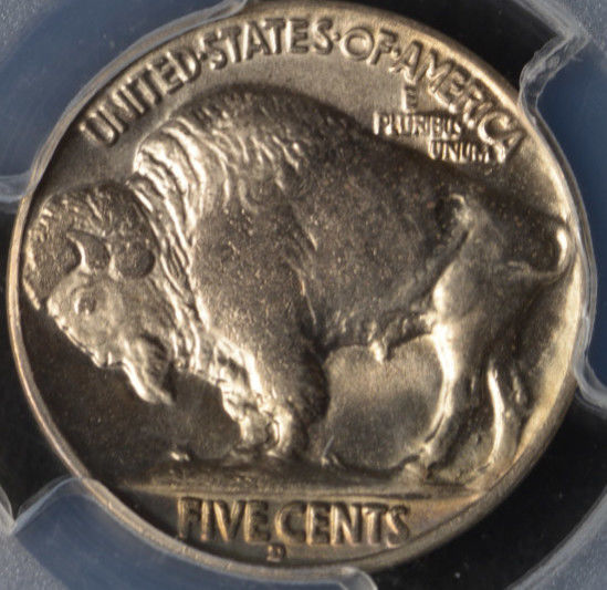New-Variety?--1934-D-Double-Die-Buffalo-Nickel-PCGS-MS-64-CAC