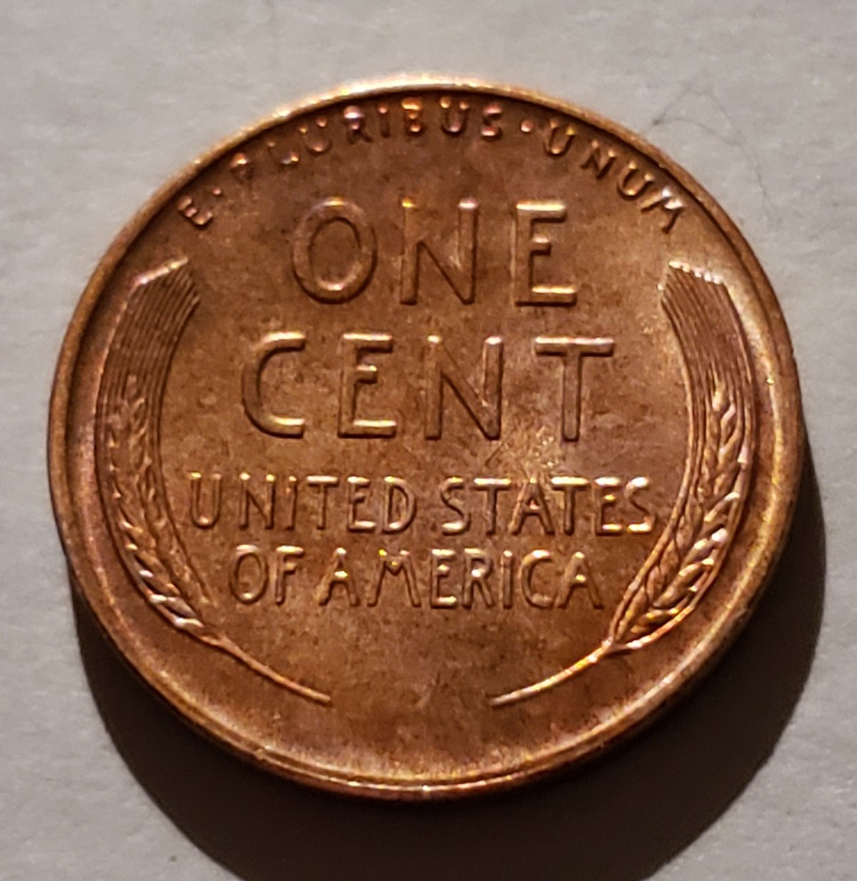 1955-S-Found-In-Circulation-In-Possible-Unc