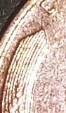 1955-Bronze-Lincoln-Penny-DDO