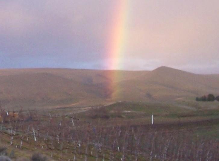 Discovered-New-Metal-Detecting-Location