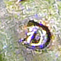 RPM?-1983-D-LMC