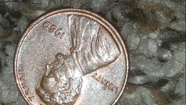 1980-Penny-Date-Error.-8-Look's-Like-An-Infinity-8.