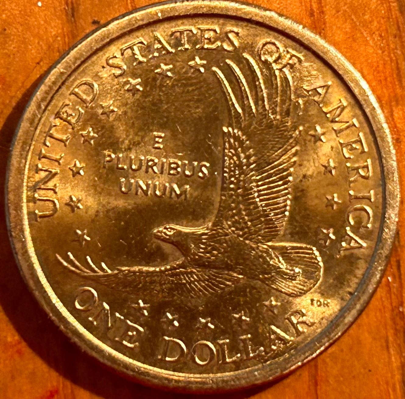 2003-Sacagawea-Possible-Small-Die-Chip?