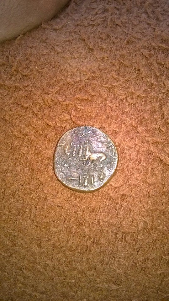 Syracusa-Coin-Help-Please