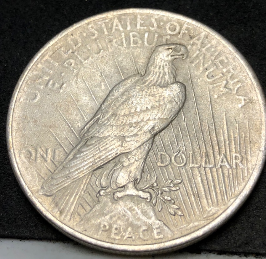 1922-Peaxe-Dollar-Grading-Advice.-#1
