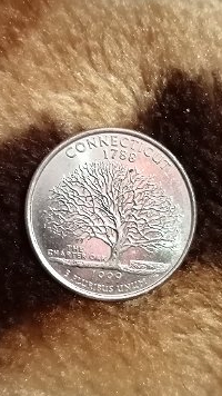 In-Way-Over-Her-Head-Kiwi,-Looking-For-Information-Please-On-1999-U-S-Quarter