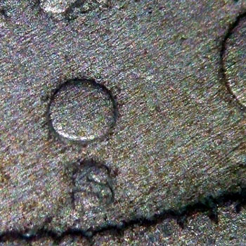 Standard-Stereo-Microscope-&-Taking-Digital-Photos