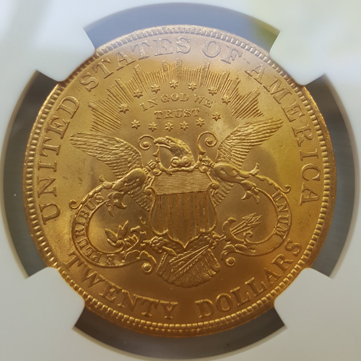 My-First-US-Gold-Coin!-1904-$20-NGC-MS-64