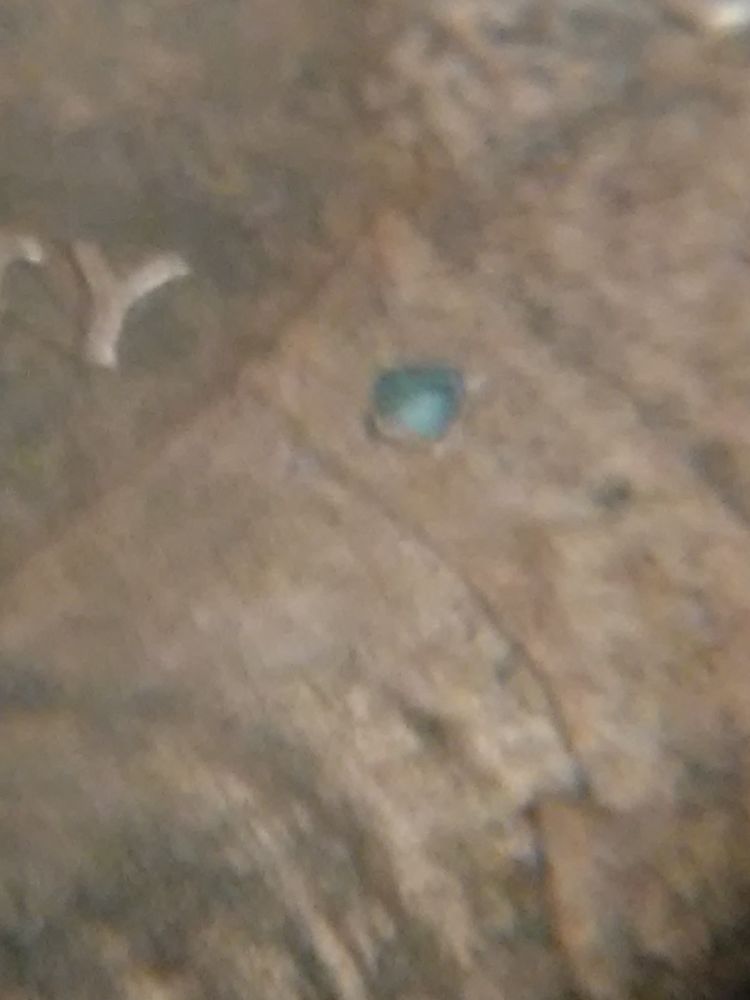 HI-I-Have-2001-Penny-D-Has-Some-Green-Dots-On-Both-Sides