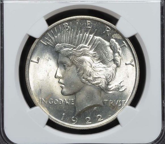 New-Peace-Dollar-Doubled-Face,-Nose,-&-Neck
