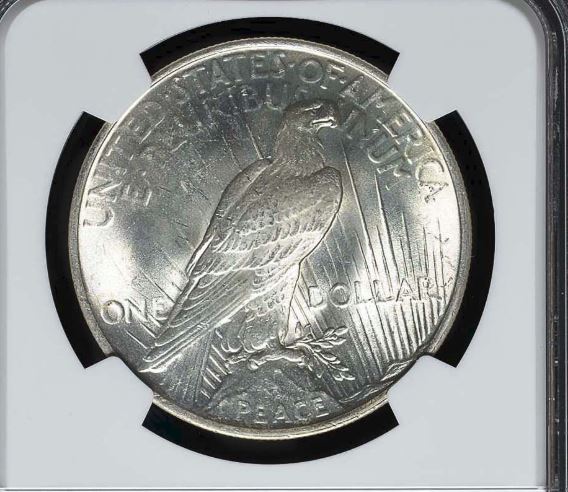 New-Peace-Dollar-Doubled-Face,-Nose,-&-Neck