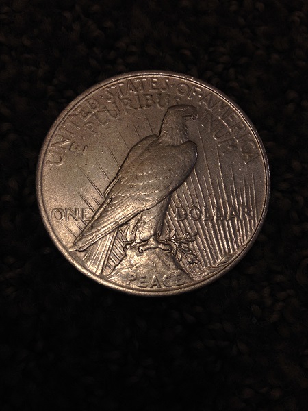 My-Grandma-Asked-For-My-Help:-1921-Silver-Dollar
