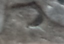 Does-This-1874-Dime-Have-A-Mint-Mark?