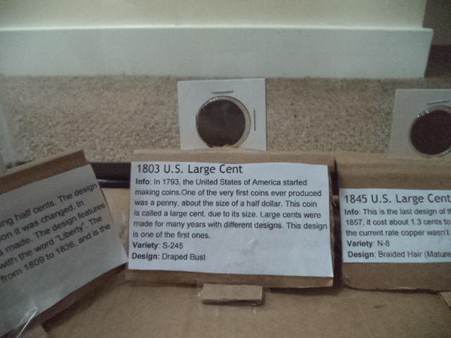 Help-With-Coin-Display/-Exhibit!