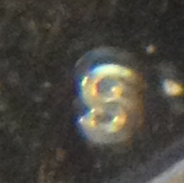 Need-Help-With-1981-Proof-SBA-Types!