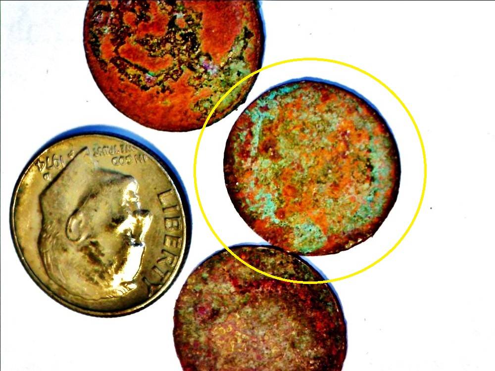 Found-These-4-Dimes-In-The-Waters-Of-Destin-Fl.