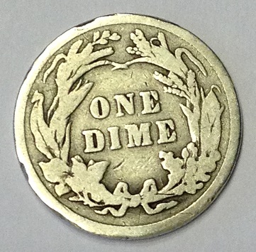 1-Year-Of-Coin-Collecting...