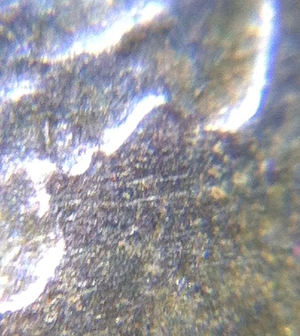 Help...-1909-VDB-Matte-Proof?!